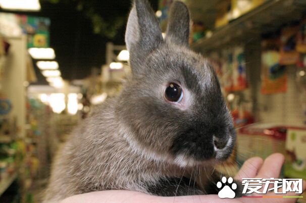 QQ截图20160707210044