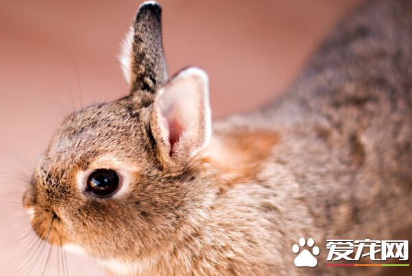 QQ截图20160707210053