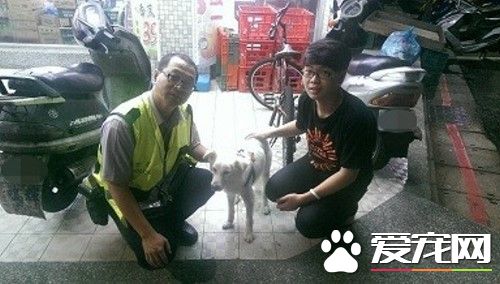 暖警陪颤抖白狗等主人 离去前它汪汪几声道谢