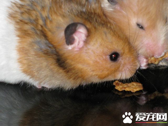 3122467675_d36c8c034a_z