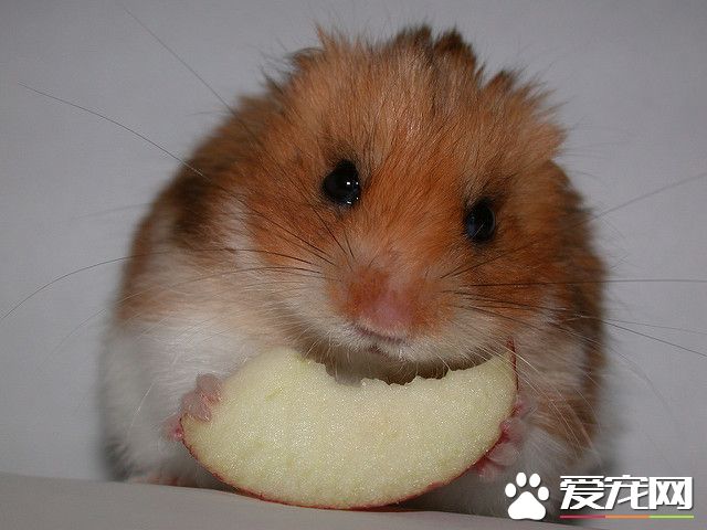 2463072287_accf069ba8_z