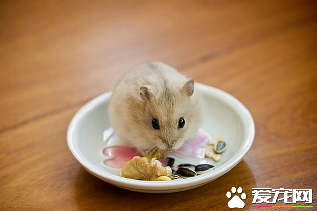 QQ截图20160707163311