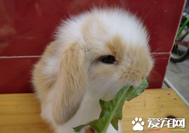 QQ截图20160707212111