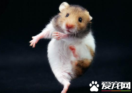 QQ截图20160707205225