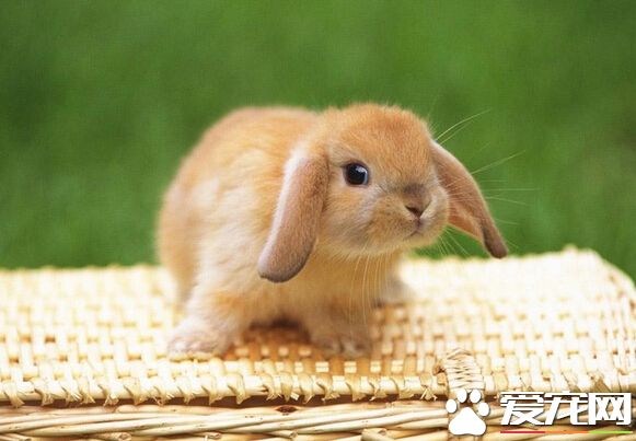 QQ截图20160707212100