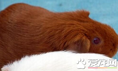 QQ截图20160707182538