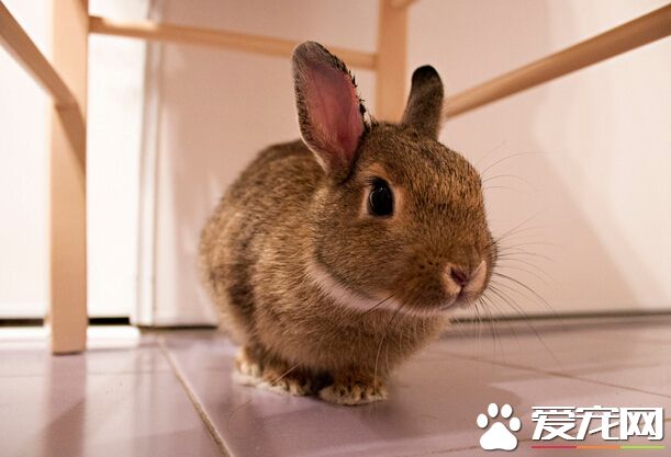 QQ截图20160707210103