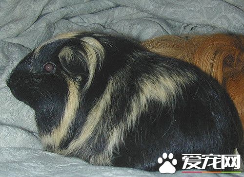 2744902093_d7f6607e2d_z