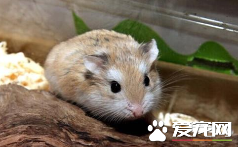 QQ截图20160707155740