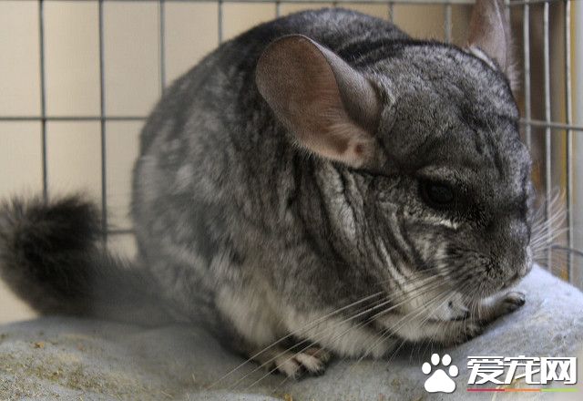 4092824621_fe68ec284d_z