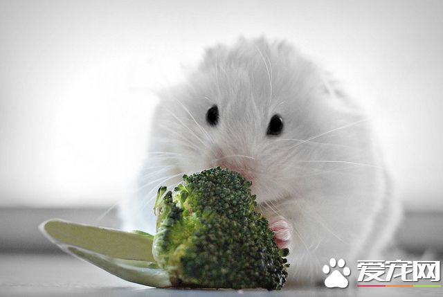 5335325821_af23f2cddc_z