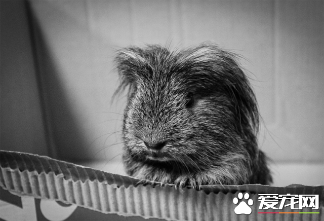 QQ截图20160707185034