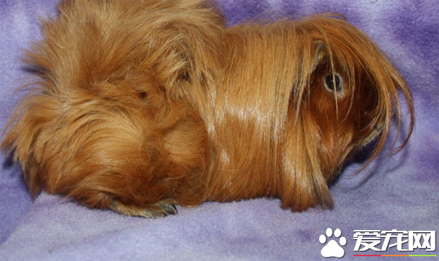 QQ截图20160707183957