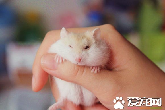 8226cffc1e178a82580a6b6ff703738da877e8cf