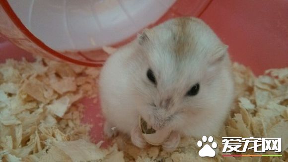 11056059252dd42ab3a4c40b013b5bb5c8eab895