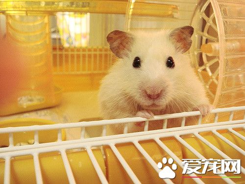 511781736_804ff4fad9_z