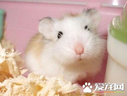 QQ截图20160707155823