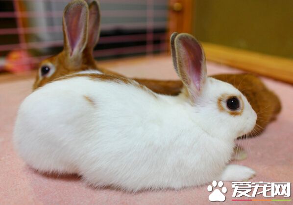 QQ截图20160707210034