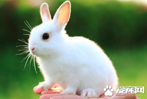 QQ截图20160707211226