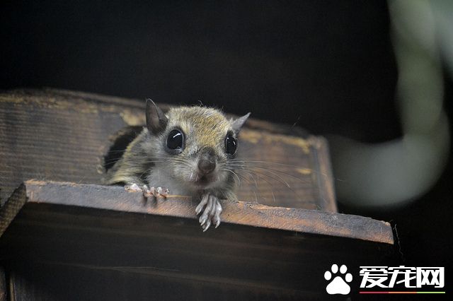 9796830704_05011368c1_z