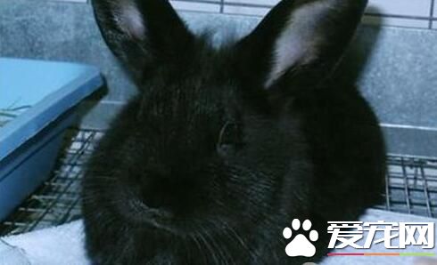 QQ截图20160708161632