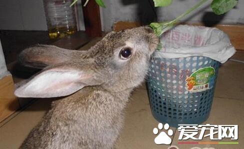 QQ截图20160708162744