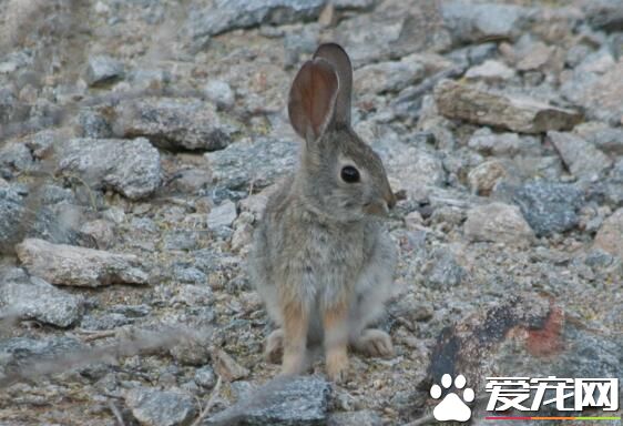 QQ截图20160708135349