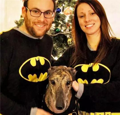 女主人怀孕后 狗狗便成了她的守护神