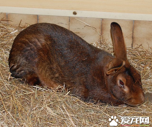 2382522095_38afb2856b_z