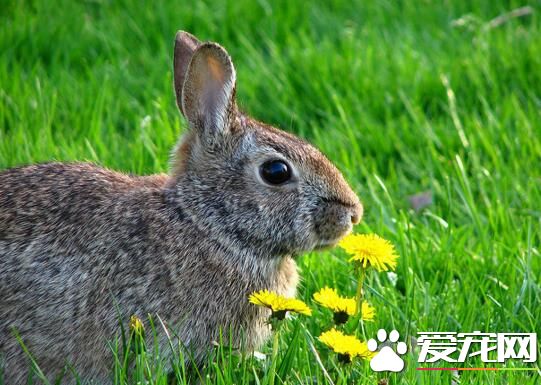 QQ截图20160708142604