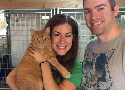 夫妻开4天3夜的车 只为领养橘猫