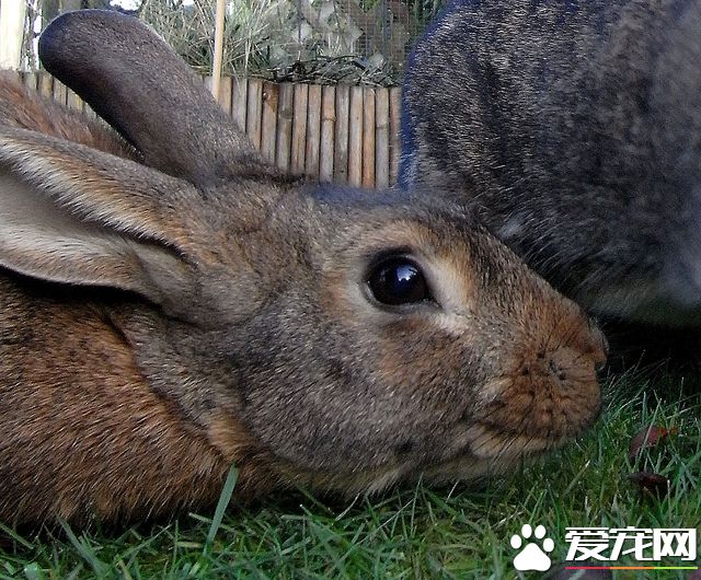 6314525654_8feb65c7a9_z