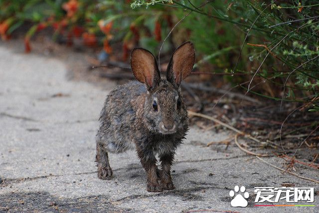 2476784088_7278db631a_z