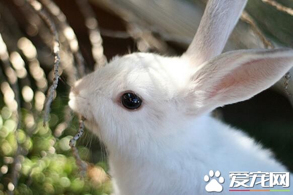 QQ截图20160708141722