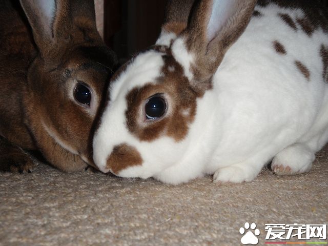 6888640622_a35abf2437_z