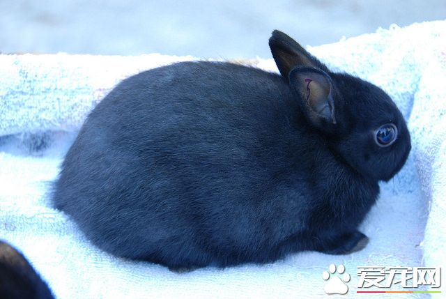 15143917689_ec49e10f2c_z