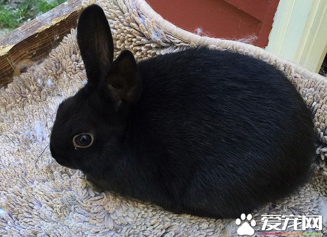 21936244201_447c4d8709_z