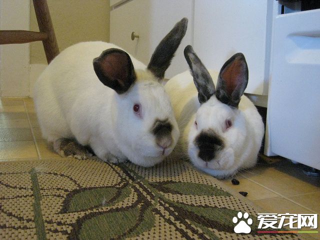 5262548739_2120014c89_z