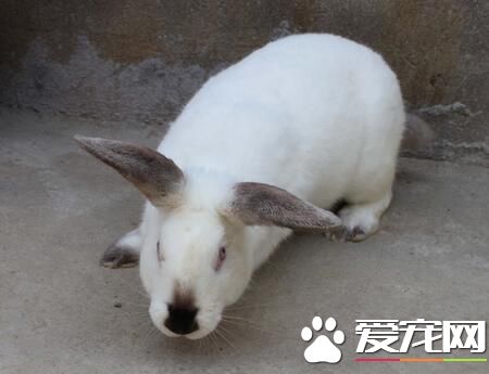 QQ截图20160708151539