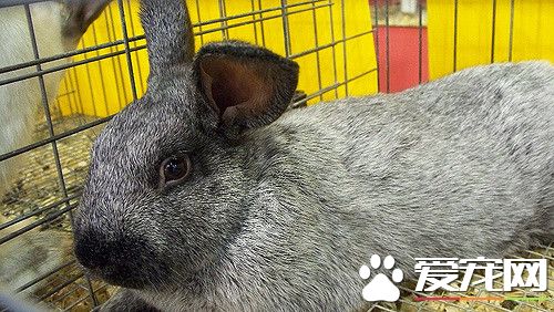 3843515664_286b940608_z