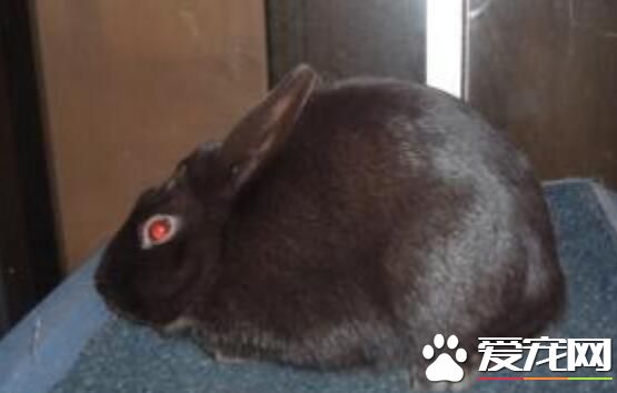 QQ截图20160708161703