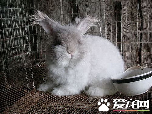 473675798_3f1d7f3106_z