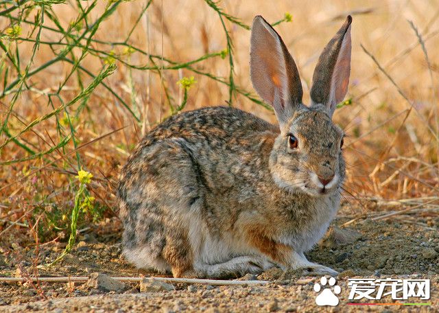 3733094740_78e6afeca0_z