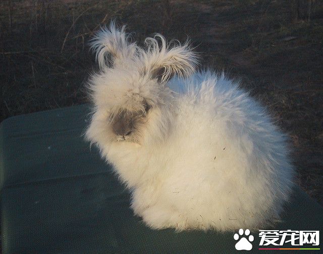 438911818_2fb80f6d5c_z