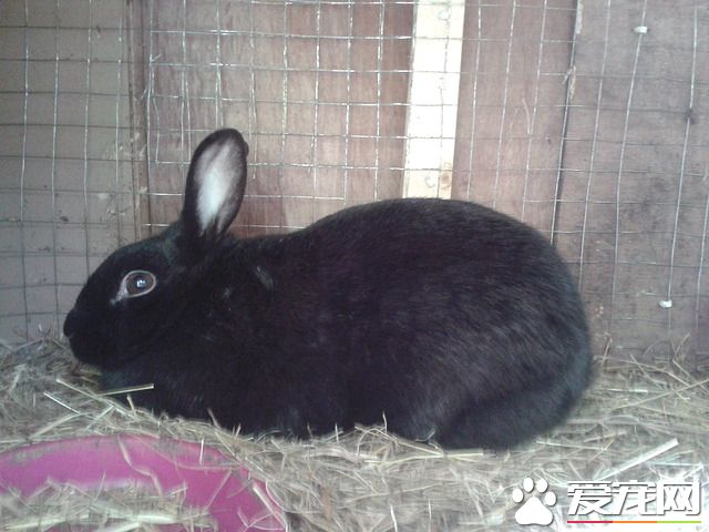 9214245625_34c38d27a2_z