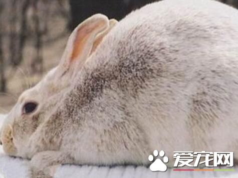 QQ截图20160708162719