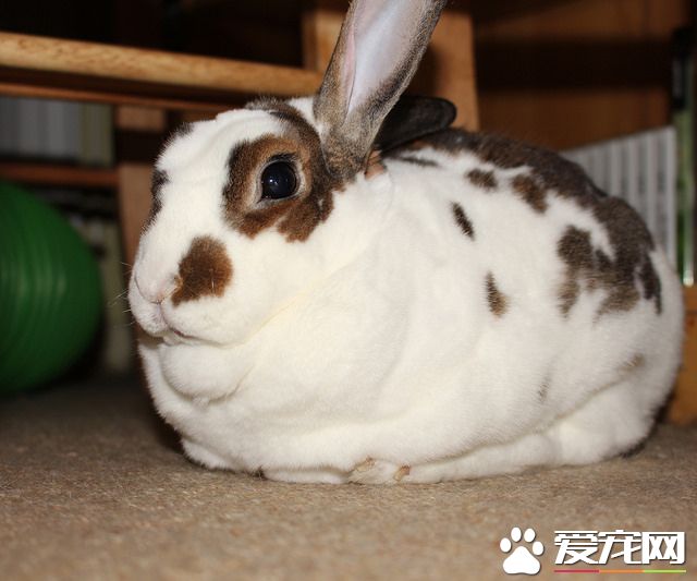 25415987875_6525a6f7a5_z