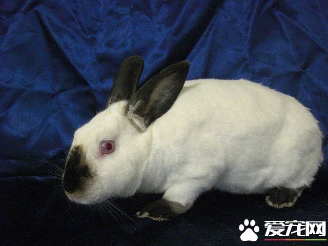 4732163880_ee98159fb0_z