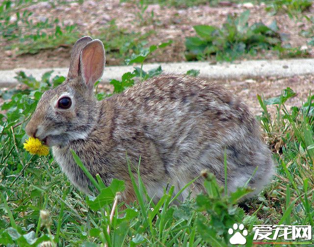 639294796_3b2740b8fd_z