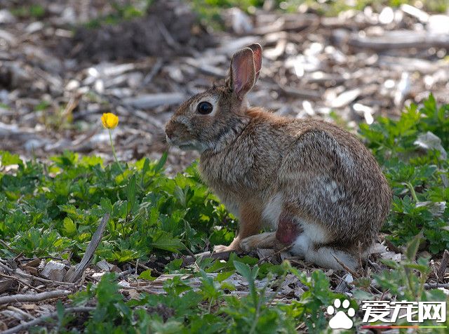 3619152834_11ef9835d5_z